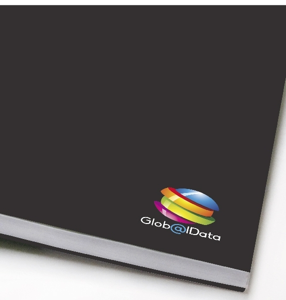 globaldata globaldata